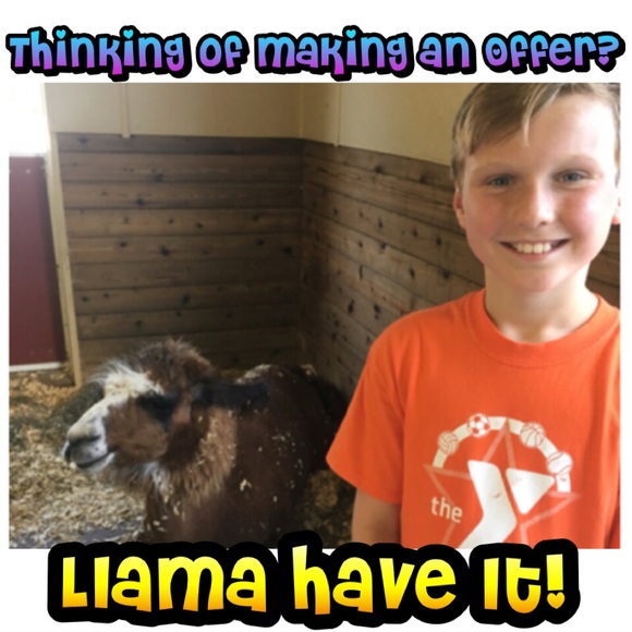 Reasonable Offers Always Considered! - Picture 2 of 7